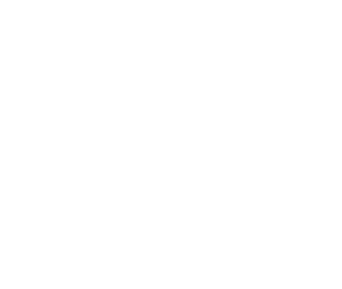VolleyFoto